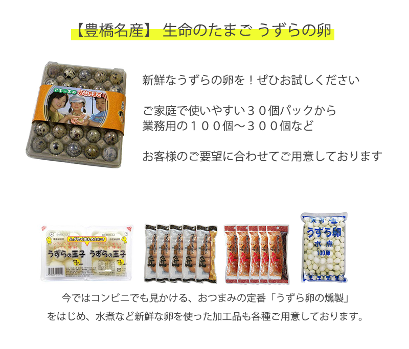 【食用】 生命のたまご うずらの卵 30個入り / 豊橋名産 産地直送 新鮮